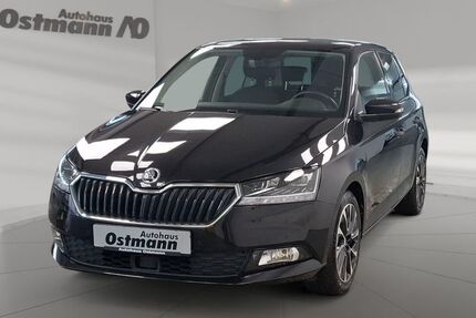 Skoda Fabia 28.388 km 15.880 € Wolfhagen 34466