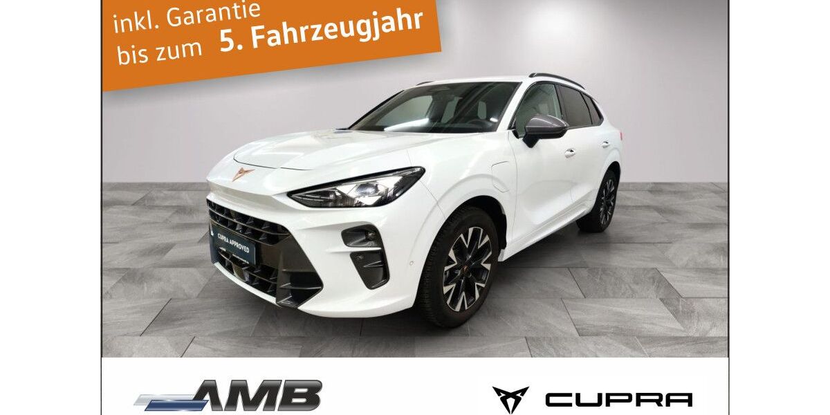 Cupra Terramar 14.460 km 37.980 &euro; Borna 04552