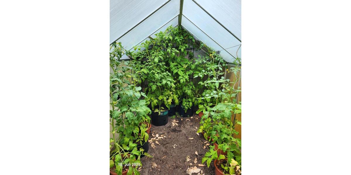 Grundstück Brandenburg an der Havel Kirchmöser Dorf - 22.000&euro; | Angebot:25843780