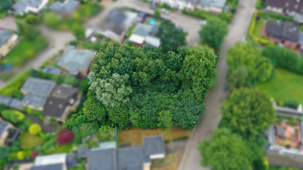 Grundstück zu verkaufen in Buxtehude 729.000 € 1666 m² zimmer