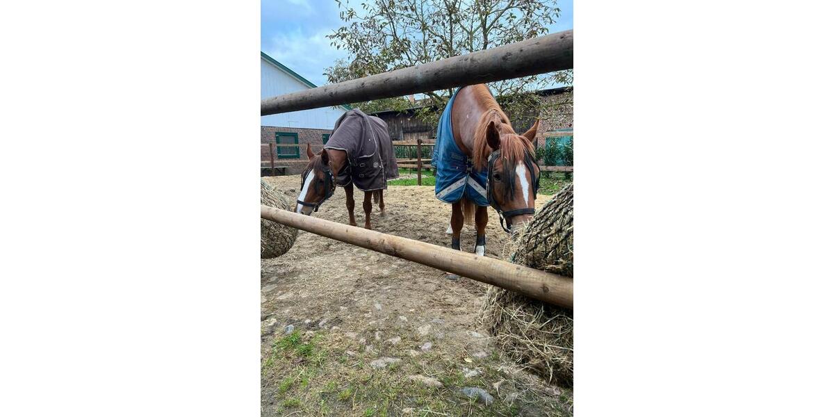 Gewerbeobjekt Jork - 420&euro; | Angebot:24317670