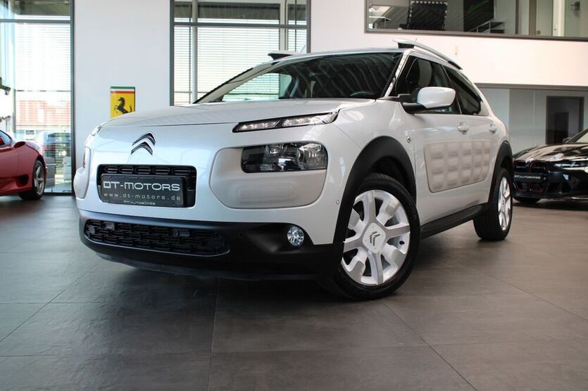 C4 Cactus