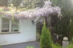 Einfamilienhaus Herrnhut - 8.5 Zimmer, 260 m&sup2;, 225.000&euro; | Angebot:25961761