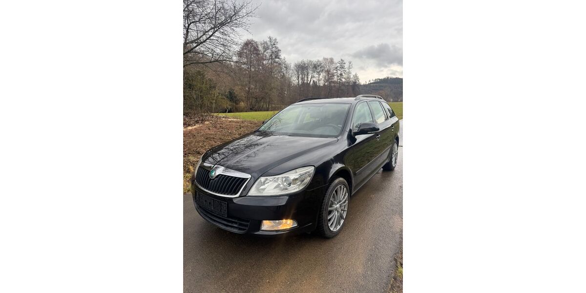 Skoda Octavia 233.149 km 5.490 &euro; Taunusstein 65232