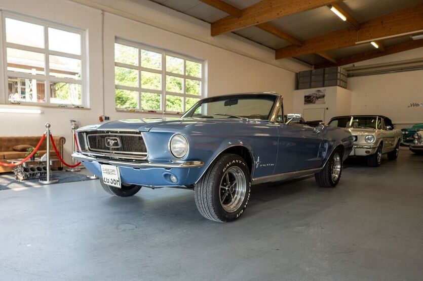 Mustang