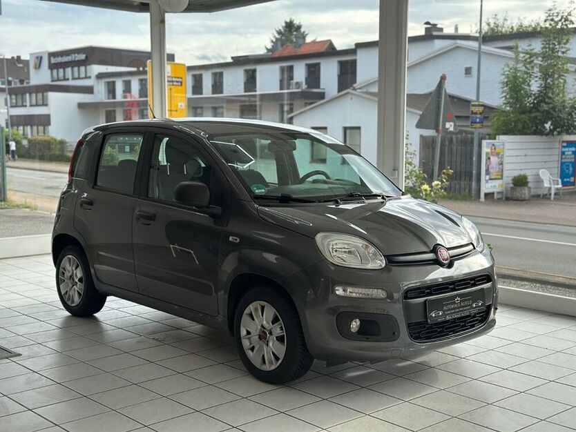Panda