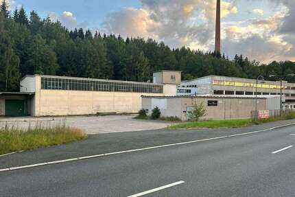 Halle in Muldenhammer 295.000 € 6403 m²