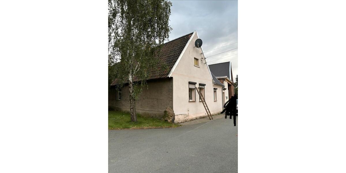 Einfamilienhaus Raguhn-Jeßnitz Jeßnitz - 4 Zimmer, 80 m&sup2;, 35.000&euro; | Angebot:26857374