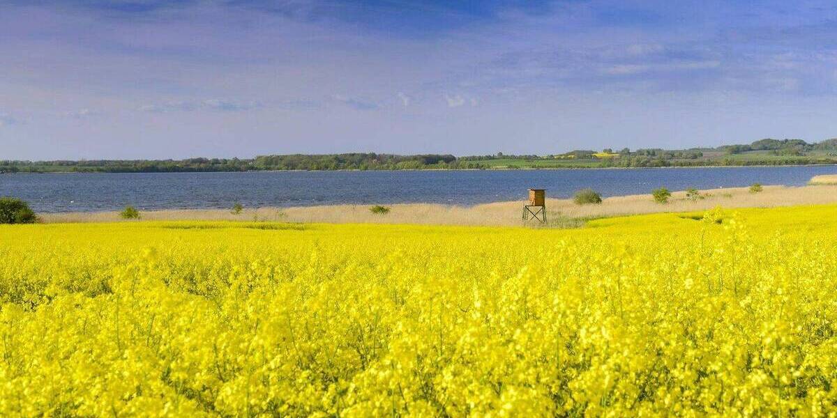 Einfamilienhaus Nordwestmecklenburg - Landkreis - Dassow Kaltenhof - 1 Zimmer, 360 m&sup2;, 450.000&euro; | Angebot:25938459