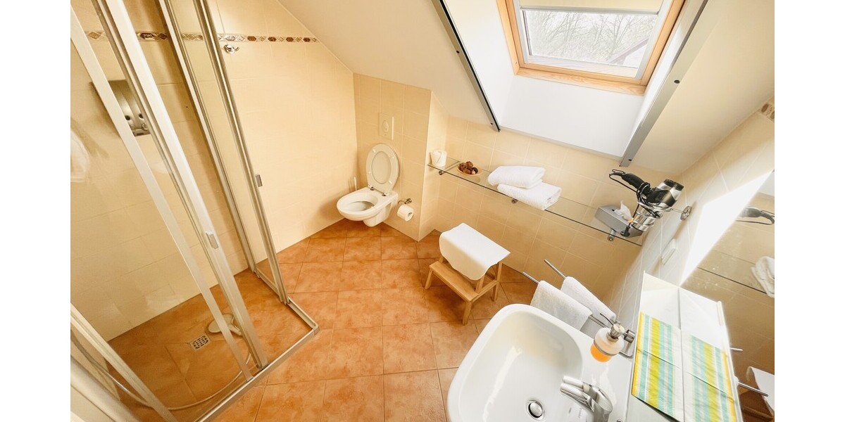 Doppelte Chance in Neulewin:Pension als Kapitalanlage nutzen & EFH sanieren Neubau auf 2.939 m² GST - Gewerbeobjekt Neulewin | Angebot:26506889