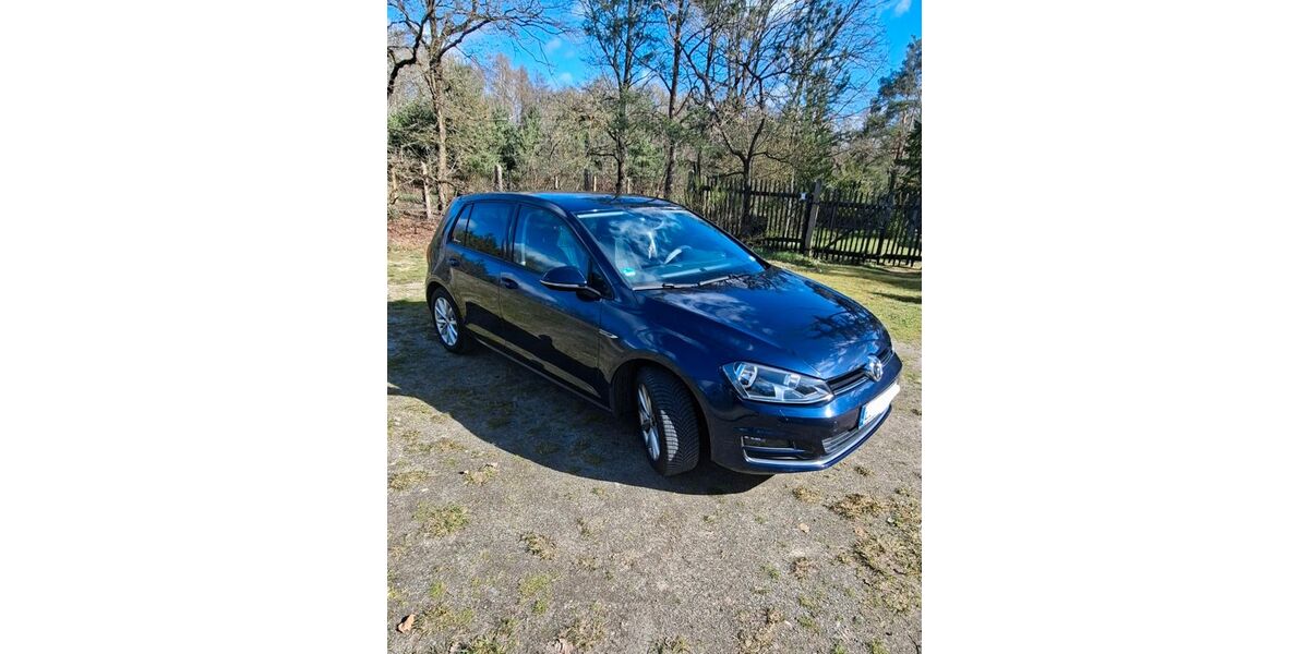 VW Golf 118.000 km 10.800 &euro; Elsterwerda 04910