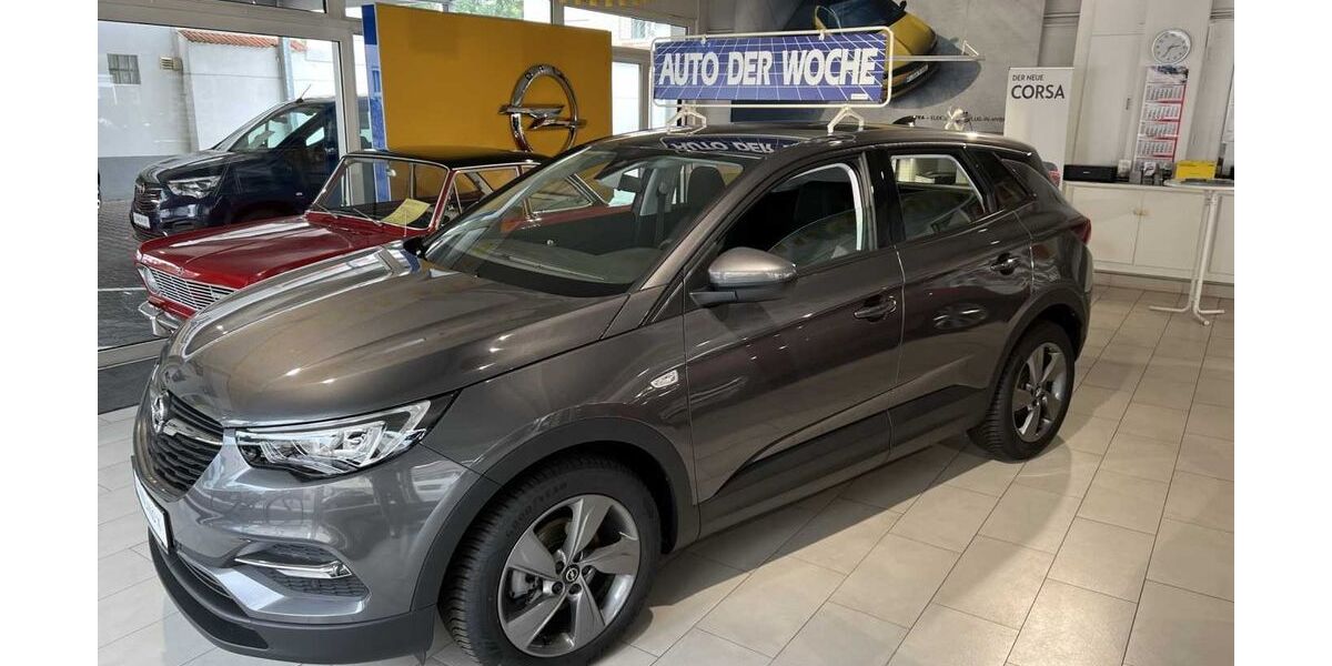 Opel Grandland (X) 25.000 km 21.590 &euro; Westhofen 67593