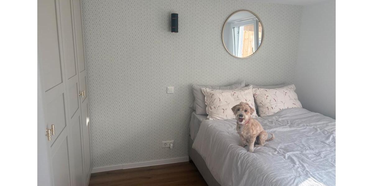 Einfamilienhaus Velen - 3 Zimmer, 45 m&sup2;, 87.000&euro; | Angebot:26698047