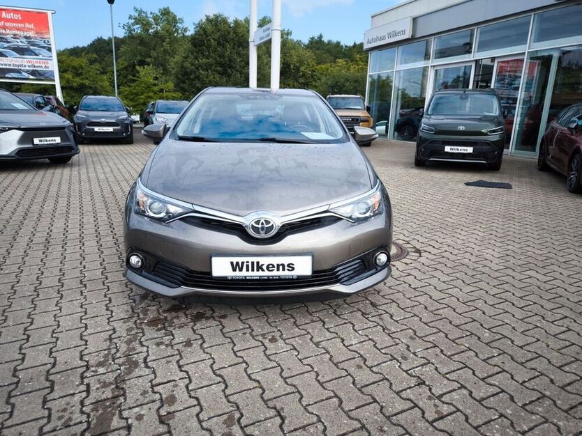 Auris