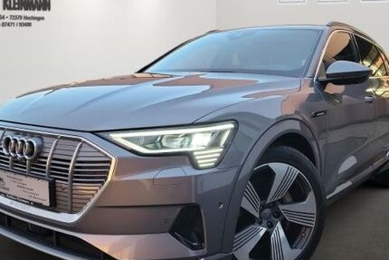 Audi e-tron 124.500 km 32.900 &euro; Hechingen 72379