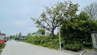 DIE LETZTEN BEIDEN HIER IM NEUBAUGEBIET - Grundstück Kellinghusen | Angebot:25142020