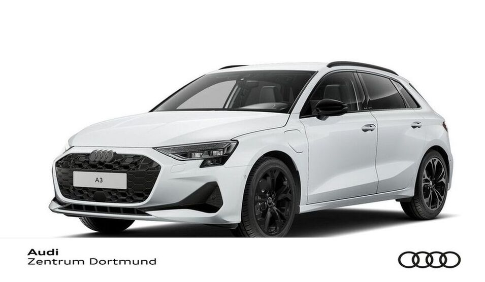 A3