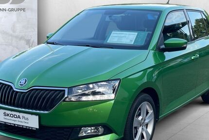 Skoda Fabia 75.000 km 11.990 € Pirmasens 66953