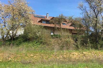 Grundstück zu verkaufen in Ittlingen 191.000 € 515 m² zimmer