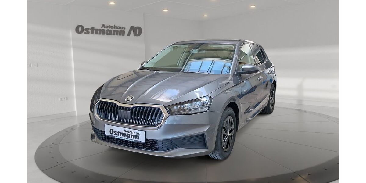 Skoda Fabia 24.387 km 15.371 &euro; Wolfhagen 34466