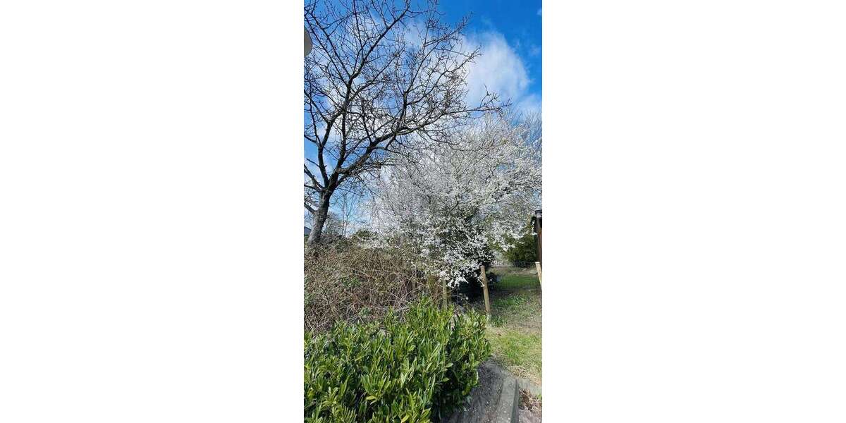 Grundstück Kellinghusen - 140.000&euro; | Angebot:25549622