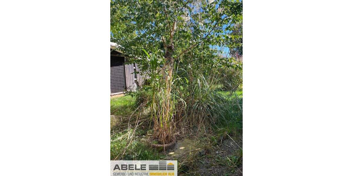 Einfamilienhaus Ehingen - Dettingen Dettingen - 1 Zimmer, 852 m&sup2;, 800.000&euro; | Angebot:25386942