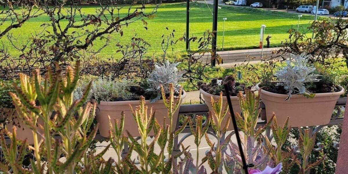 Mehrfamilienhaus, Wohnhaus Freiburg im Breisgau Günterstal - 1 Zimmer, 405 m&sup2;, 1.820.000&euro; | Angebot:26331902