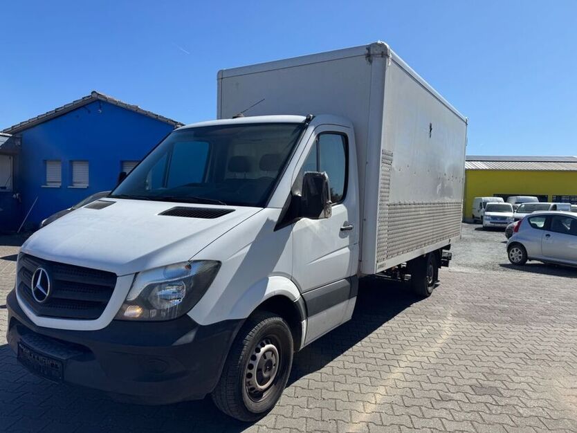 Sprinter