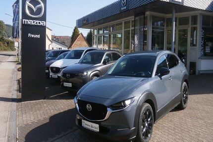 Mazda CX-30 6.380 km 27.490 &euro; Fischbach bei Dahn 66996