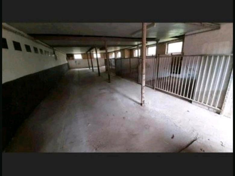 Halle Lager Scheune Unterstand Garage Unterstellmöglichleit zimmer