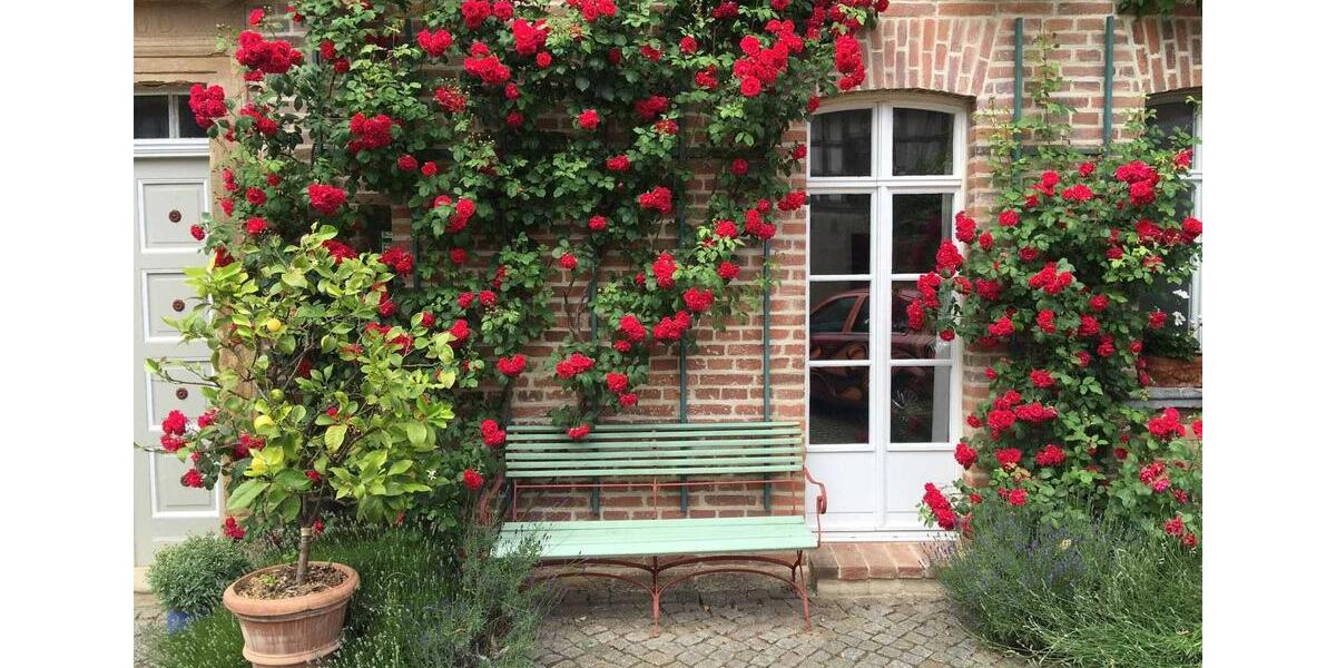 Bauernhaus, Landhaus Naumburg (Saale) - 11 Zimmer, 340 m&sup2;, 810.000&euro; | Angebot:26777786
