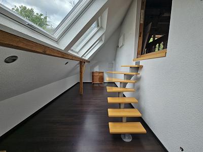 MEHRFAMILIENHAUS MIT GRUNDSTÜCK IN OCHSENBACH 8 zimmer