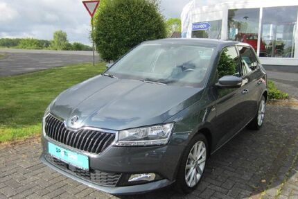 Skoda Fabia 128.159 km 9.900 &euro; Mammelzen 57636