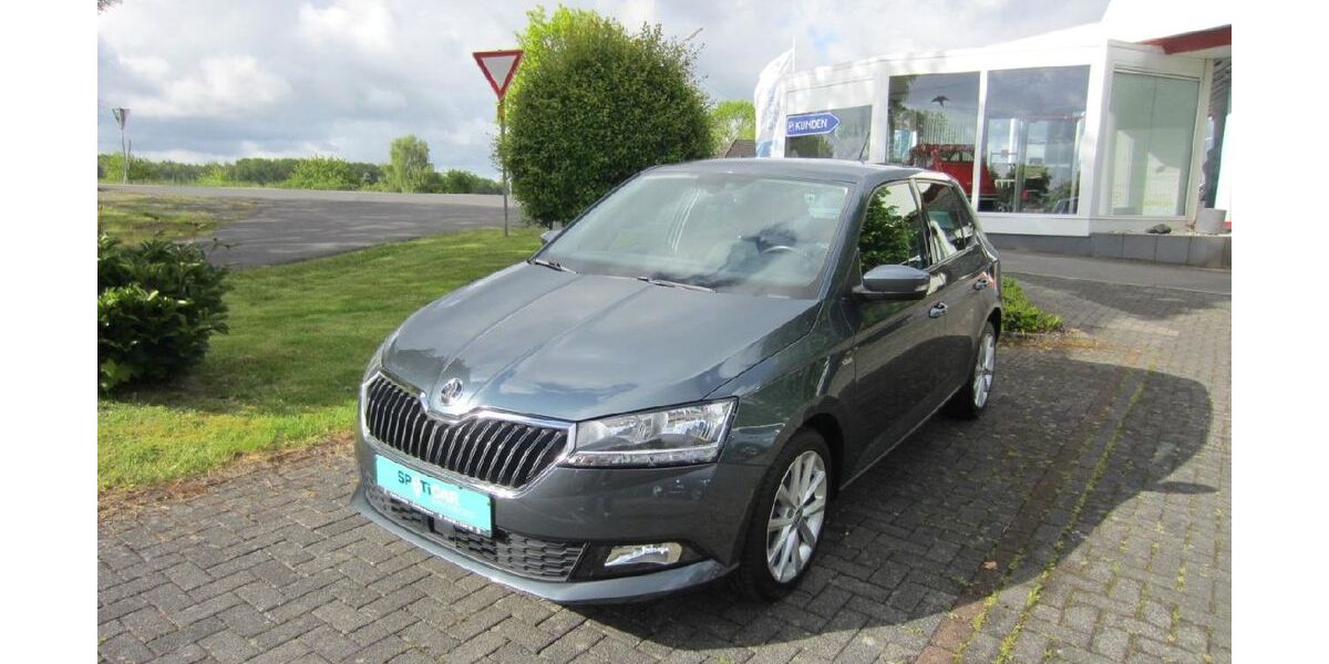 Skoda Fabia 128.159 km 9.900 &euro; Mammelzen 57636