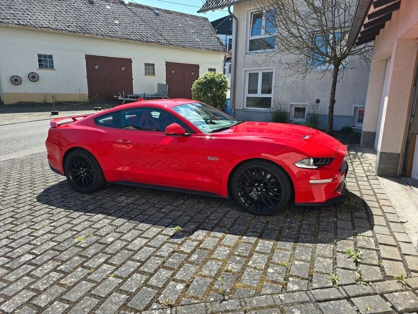 Mustang