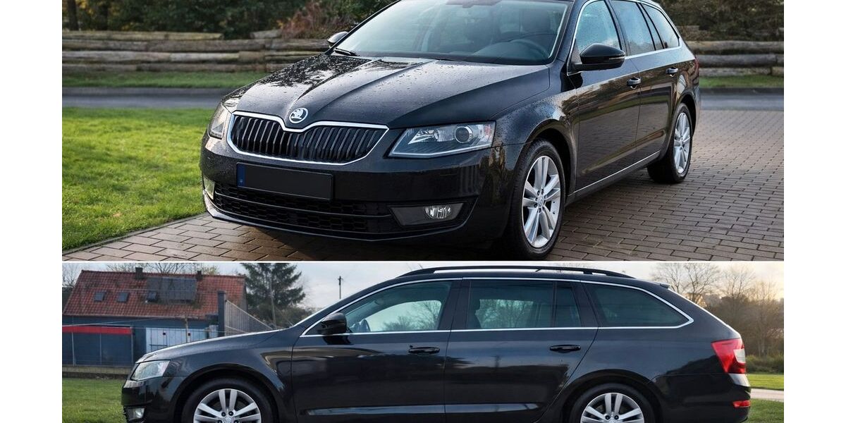 Skoda Octavia 206.000 km 8.500 &euro; Ribnitz-Damgarten 18311