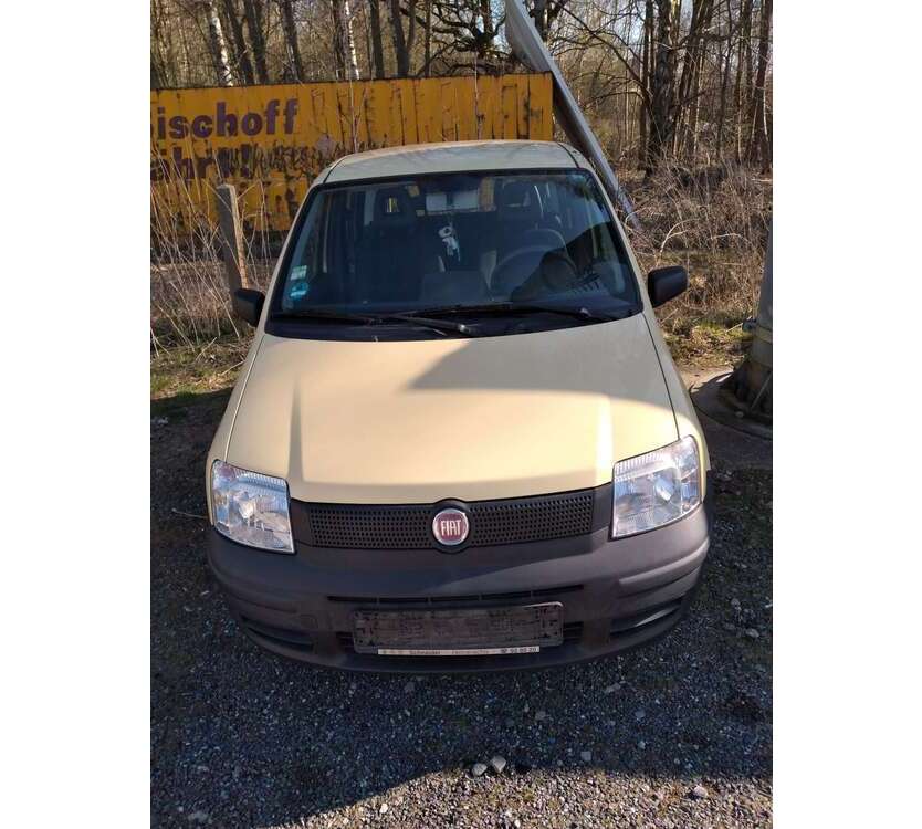 Panda