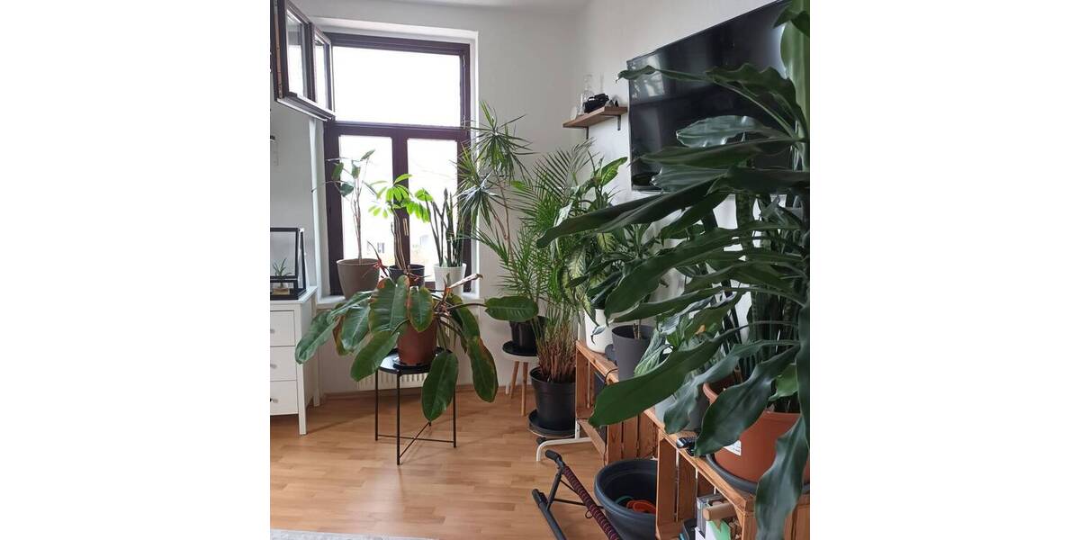 Etagenwohnung Leipzig Möckern - 2 Zimmer, 58 m&sup2;, 530&euro; | Angebot:26826951