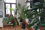 Etagenwohnung Leipzig Möckern - 2 Zimmer, 58 m&sup2;, 530&euro; | Angebot:26826951
