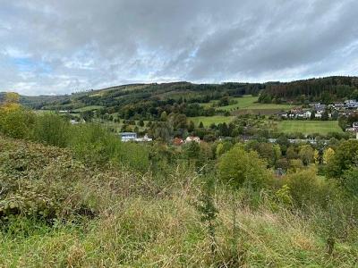 WOHNEN MIT TRAUMHAFTEN AUSBLICK - Grundstück Balve | Angebot:26981907