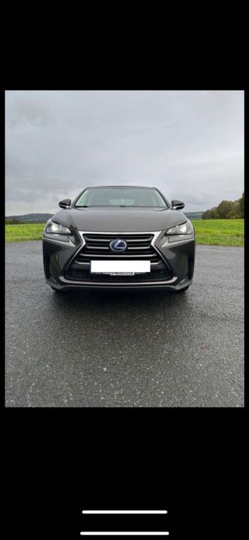 NX 300