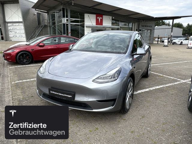Model Y