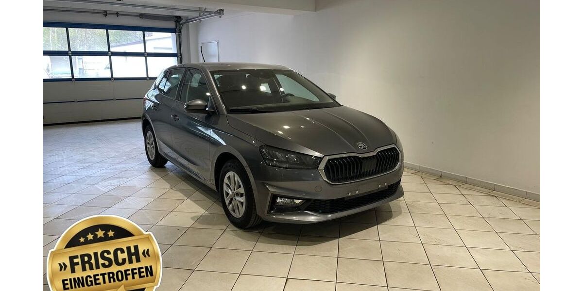 Skoda Fabia 9.724 km 18.698 &euro; Frohburg 04654