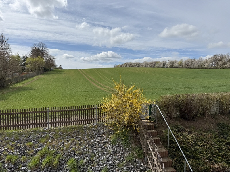 Ihr Einfamilienhaus in Goldbach - Doppelhaushälfte Goldbach Goldbach | Angebot:26433722