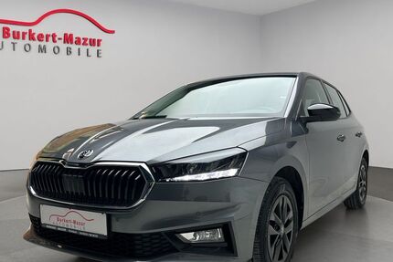 Skoda Fabia 20.600 km 17.985 &euro; Kronach 96317