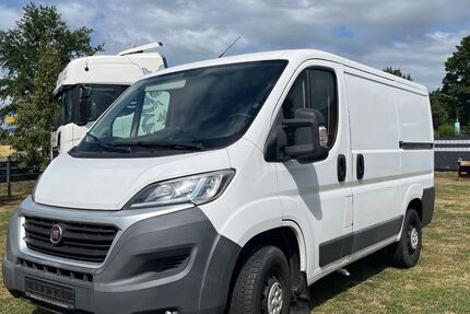 Fiat Ducato 192.287 km 11.200 &euro; Schapen 48480