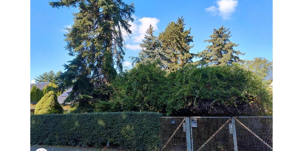 Bungalow Belgern-Schildau Schildau - 1 Zimmer, 40 m&sup2;, 86.000&euro; | Angebot:26480108