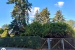 Bungalow Belgern-Schildau Schildau - 1 Zimmer, 40 m&sup2;, 86.000&euro; | Angebot:26480108