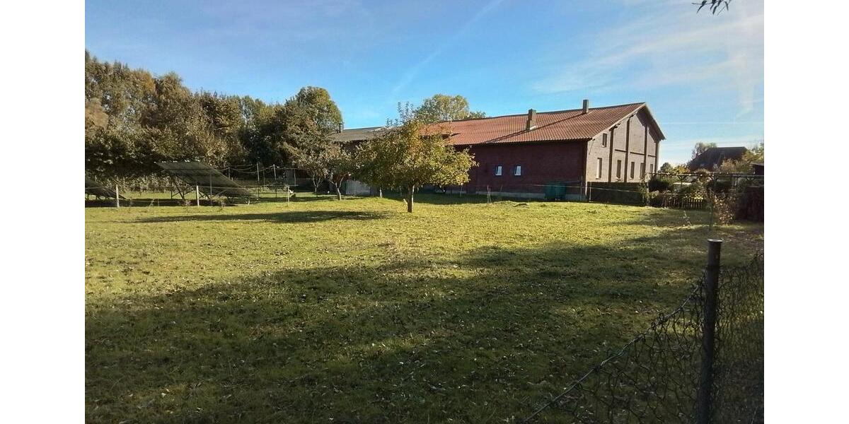 Doppelhaushälfte, großflächig, bei Greifswald 7 zimmer