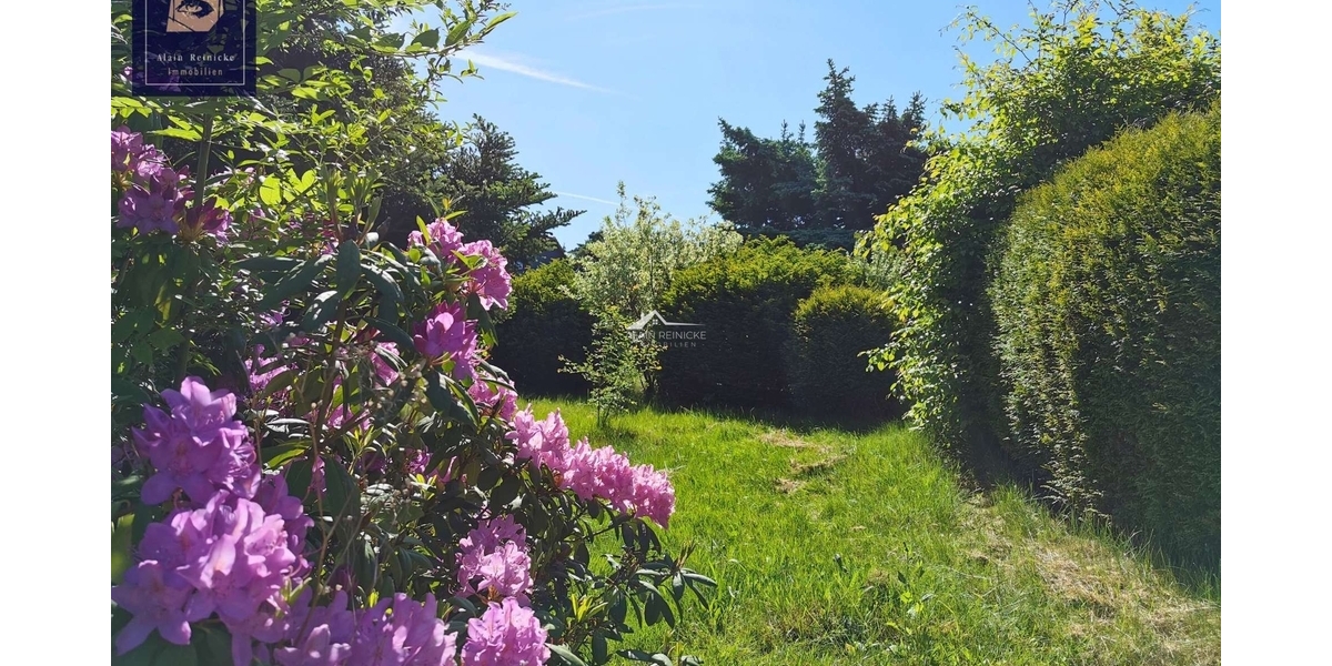 Potenzial von Keller bis Dach! 4 zimmer